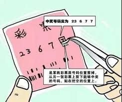 彩票涂改造假案件示意图
